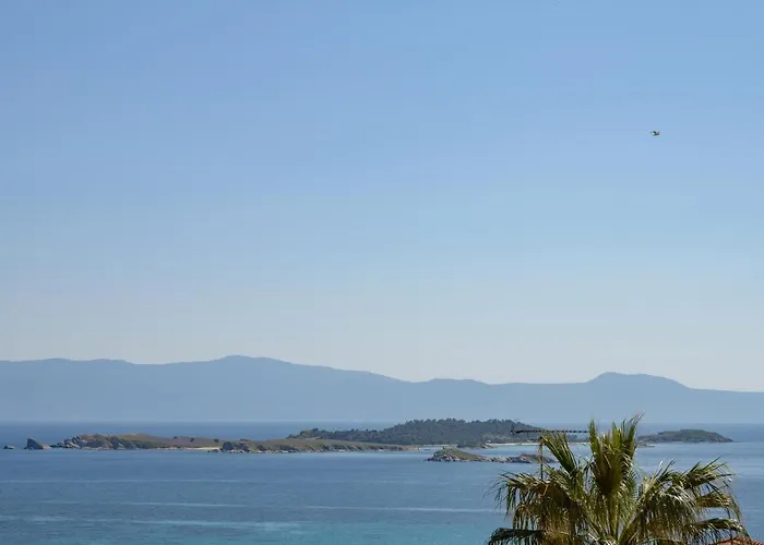 Stelios * 欧拉努波利斯