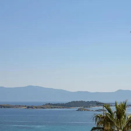 Stelios * Ouranoupoli